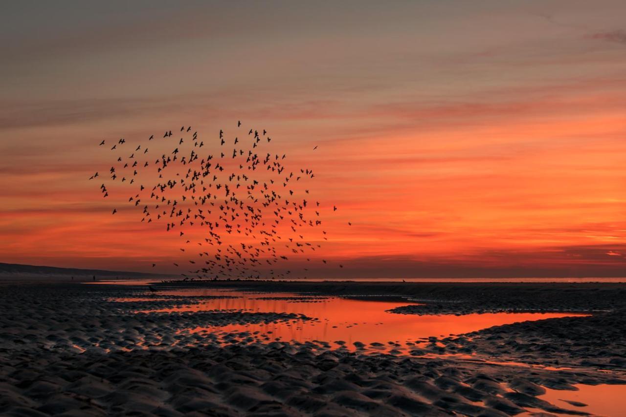 Hoekje Aan Zee Katwijk aan Zee Esterno foto